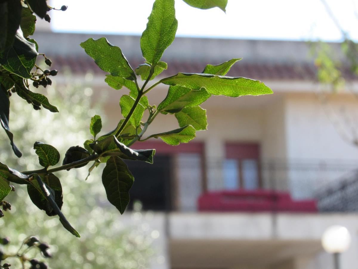 Villa Il Giovane Alloro Martina Franca Buitenkant foto